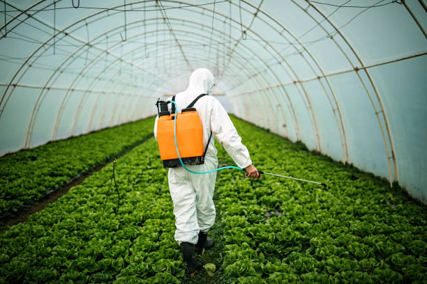 Reliable Wauna, WA Pest Control Solutions