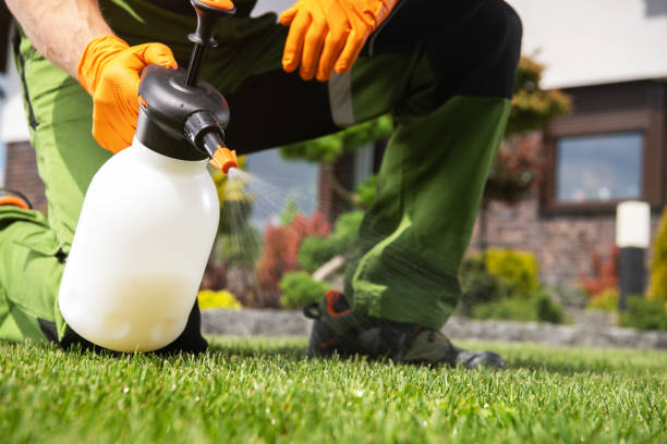 Best Mosquito Control Services  in Una, WA