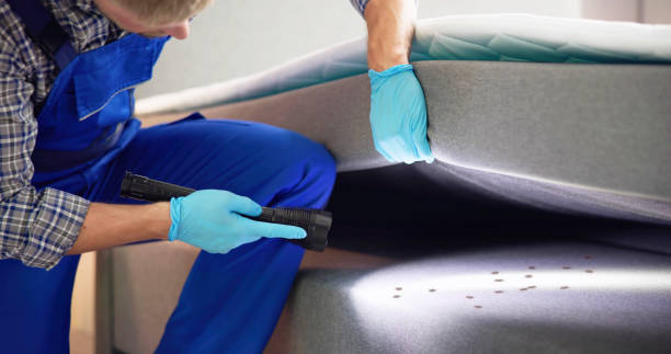 Best Rat Extermination Near Me  in Una, WA