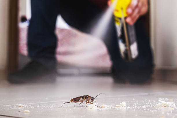 Best Wildlife Control Services  in Una, WA
