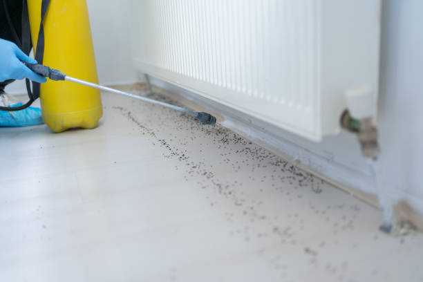 Best Insect Control  in Una, WA
