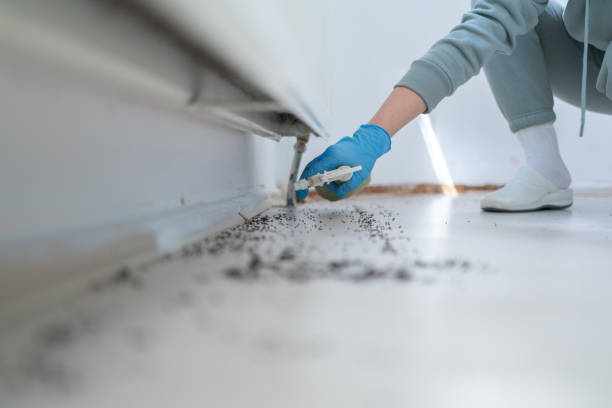 Best Exterminator Services  in Una, WA